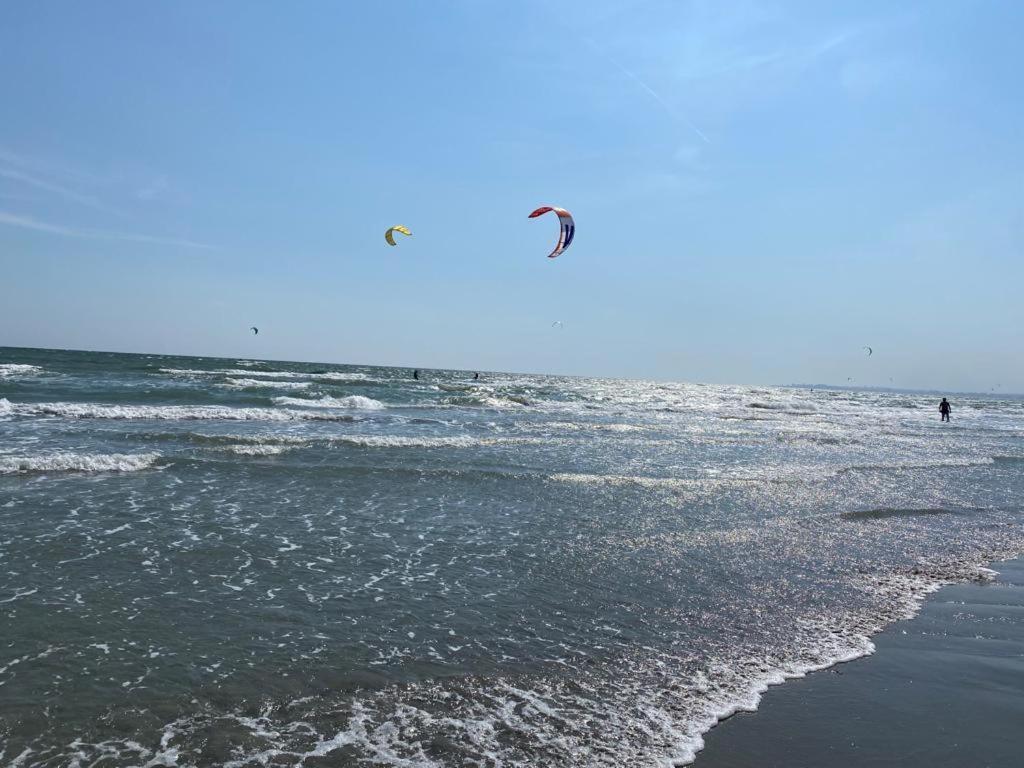 Năvodari Emi Apartment Mamaia מראה חיצוני תמונה
